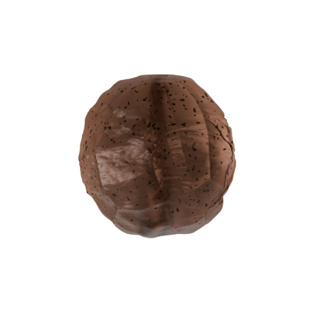 Set Karpfenmontagen Delphin sCAMO Total CARP 10 Sets