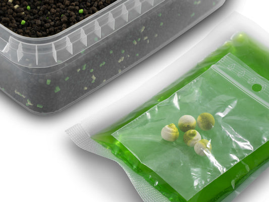 Pellet box Delphin Reaxe READY&GO / Knoblauch-Butyric