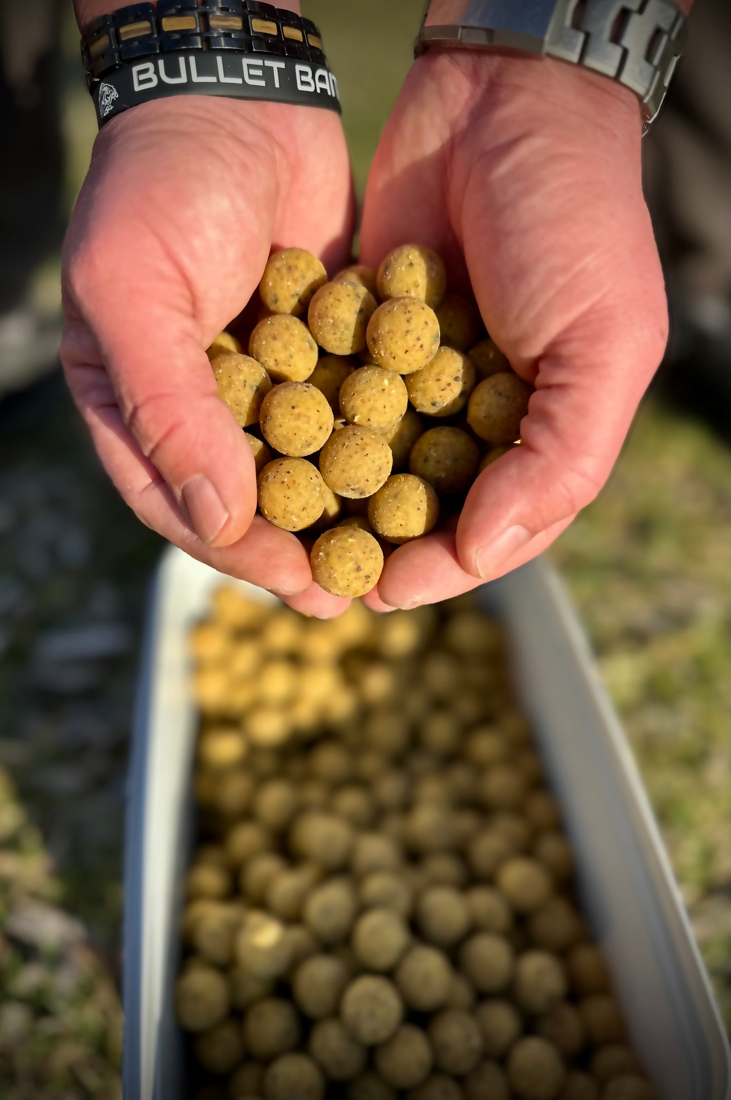 WHITE TIGERNUT BOILIE 💥 (Weiße Tigernuss)