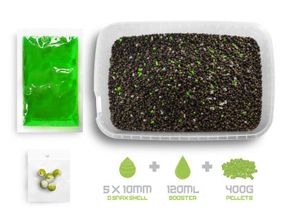 Pellet box Delphin Reaxe READY&GO / Knoblauch-Butyric