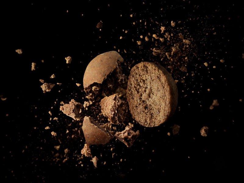 Boilies Delphin BreaX / SeaKER