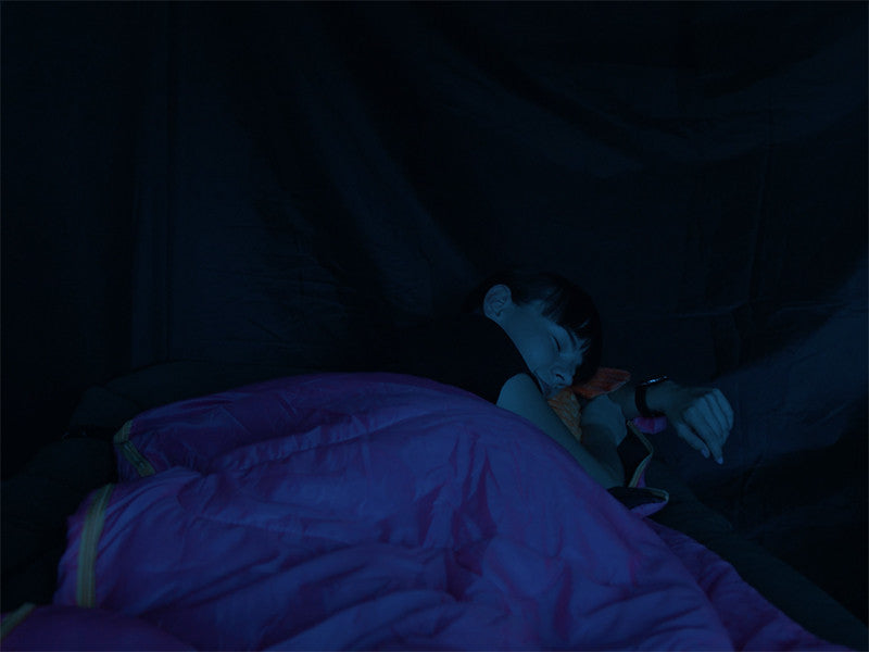 Schlafsack Delphin Queen